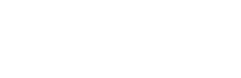 skates.pk logo